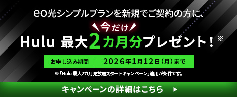 Hulu 最大2カ月分プレゼント！