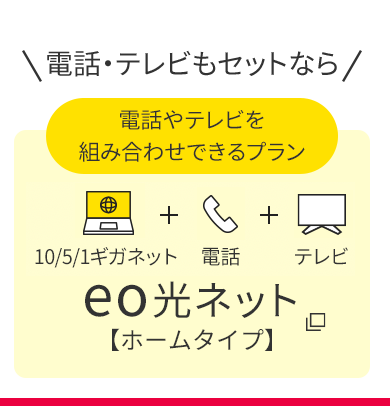 電話やテレビを組み合わせできるプラン eo光ネット【ホームタイプ】