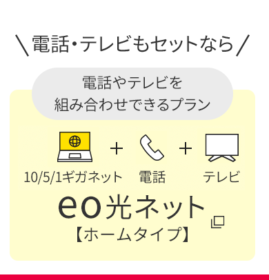電話やテレビを組み合わせできるプラン eo光ネット【ホームタイプ】